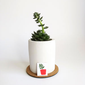 Five Patch Design Folk Plants Matching Game piece shown with potted succulent